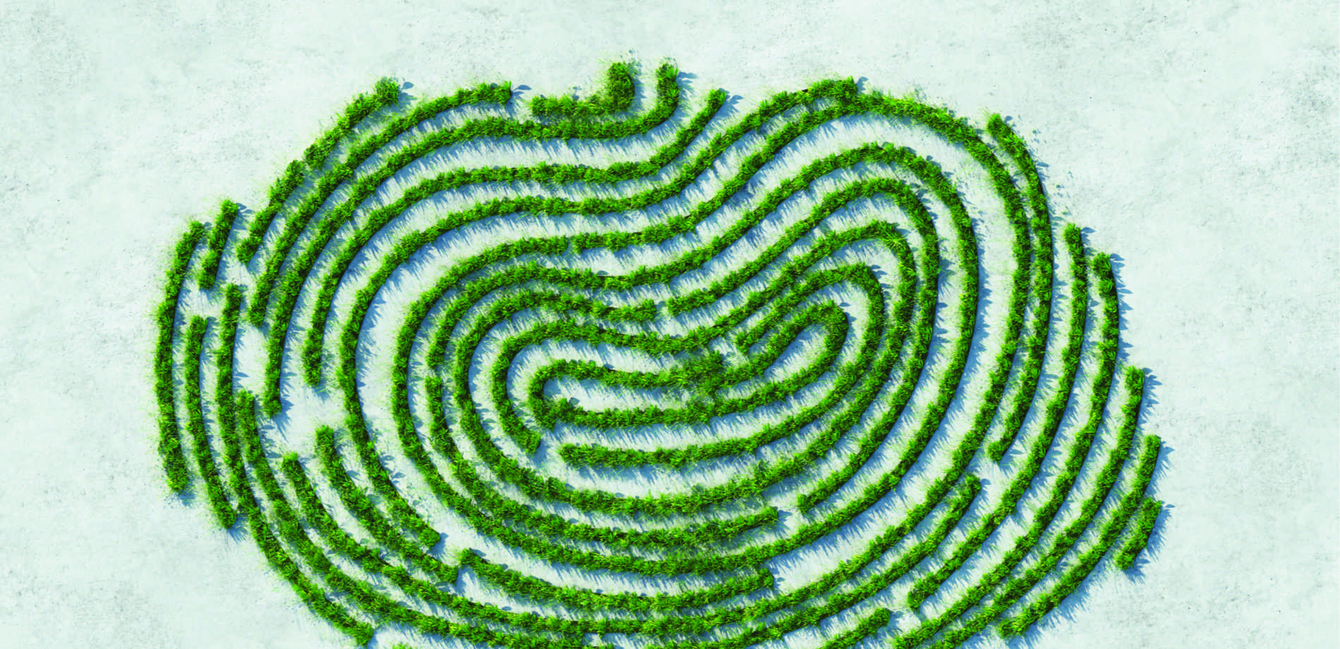 Grüner Fingerabdruck zum Thema Nachhaltigkeit