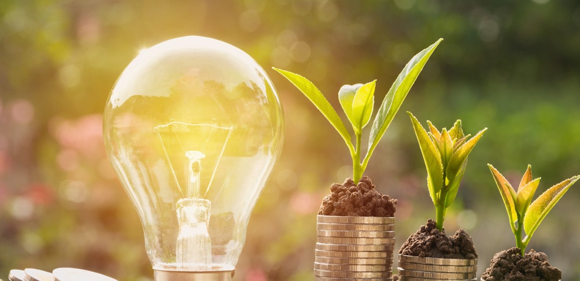 Glühbirne umgeben von natürlicher Umgebung mit Pflanzen