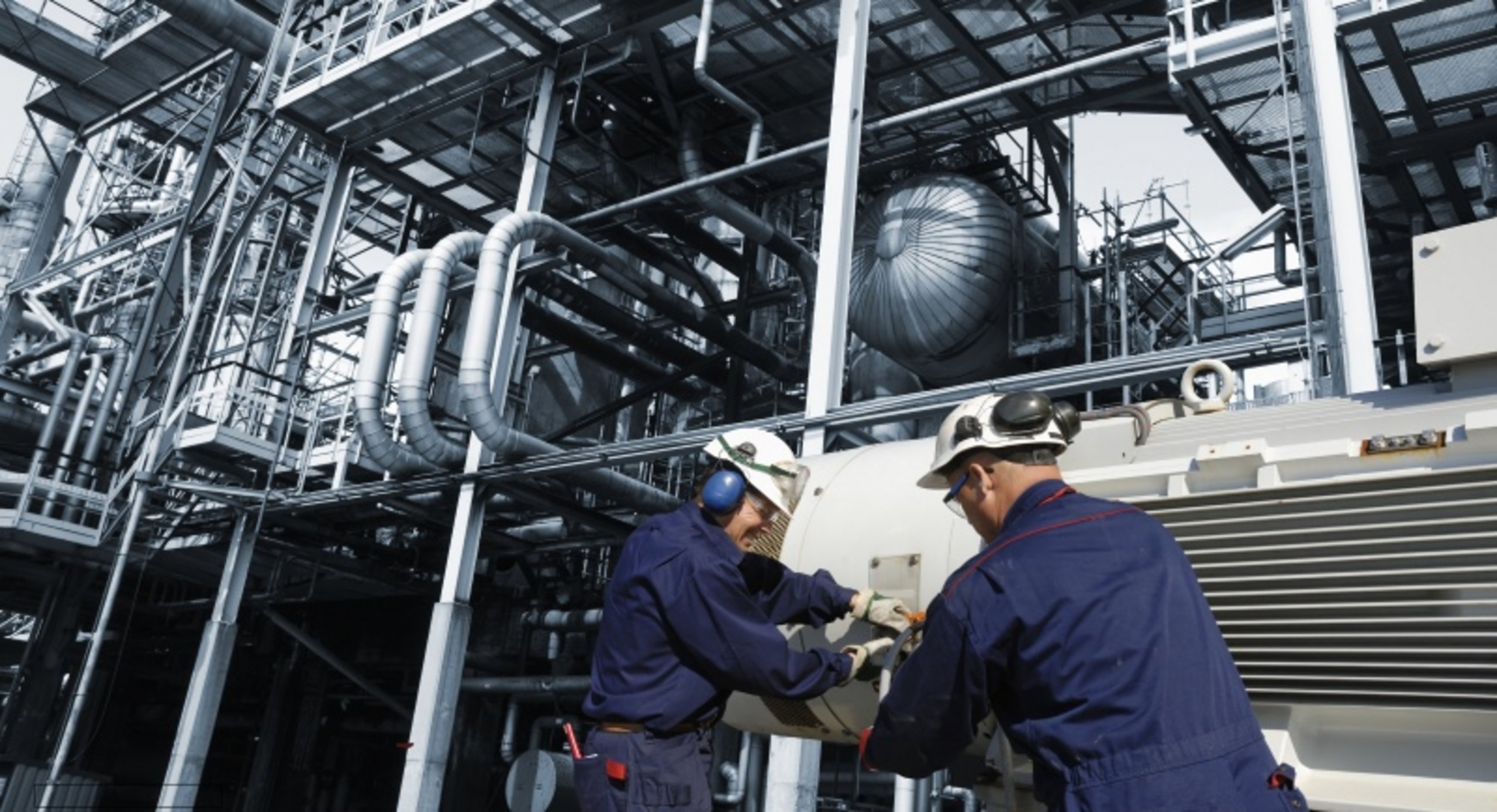 shutterstock.com/Christian Lagerek